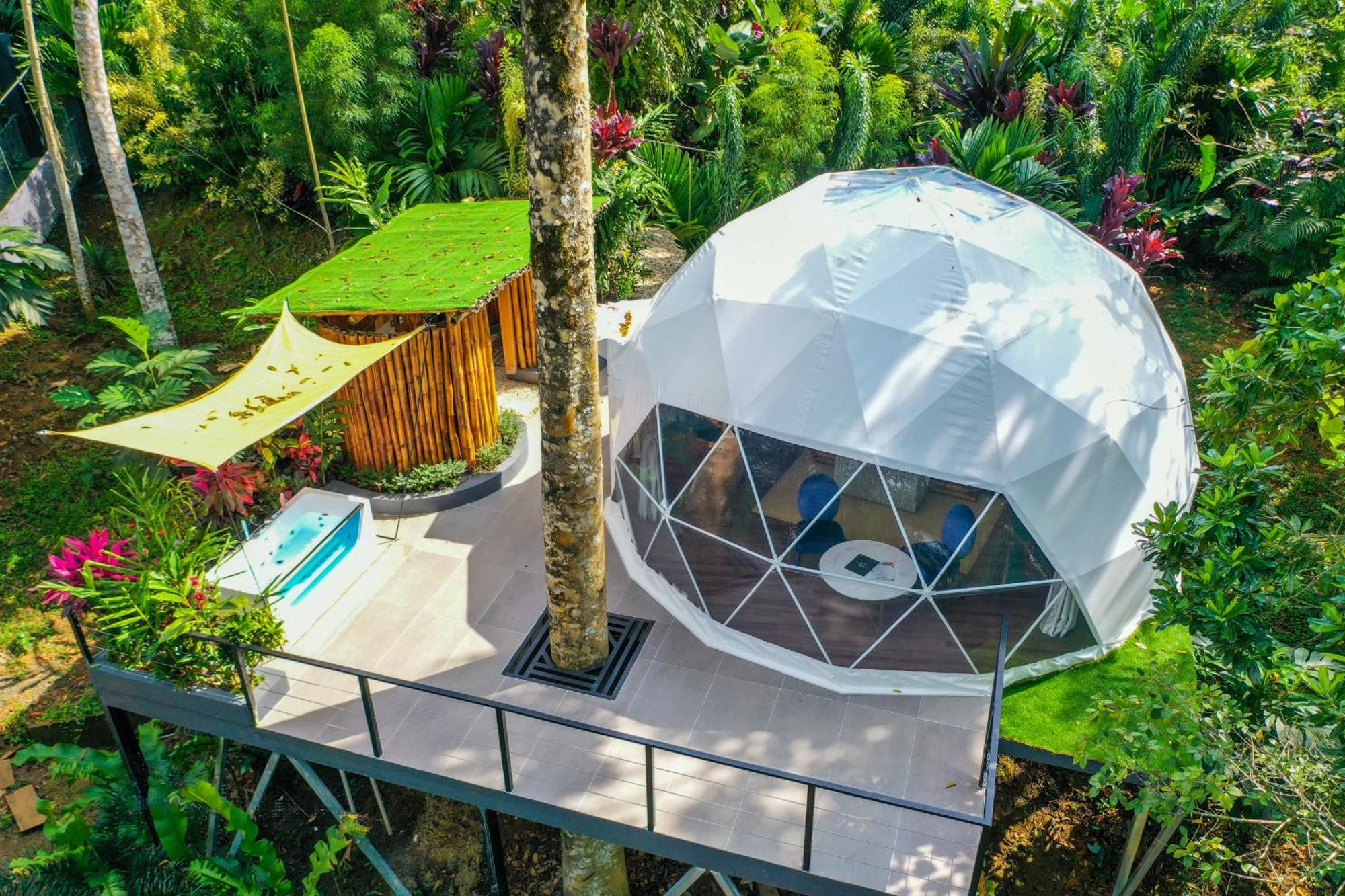 Palo Alto Glamping Hotel Quesada  Kültér fotó