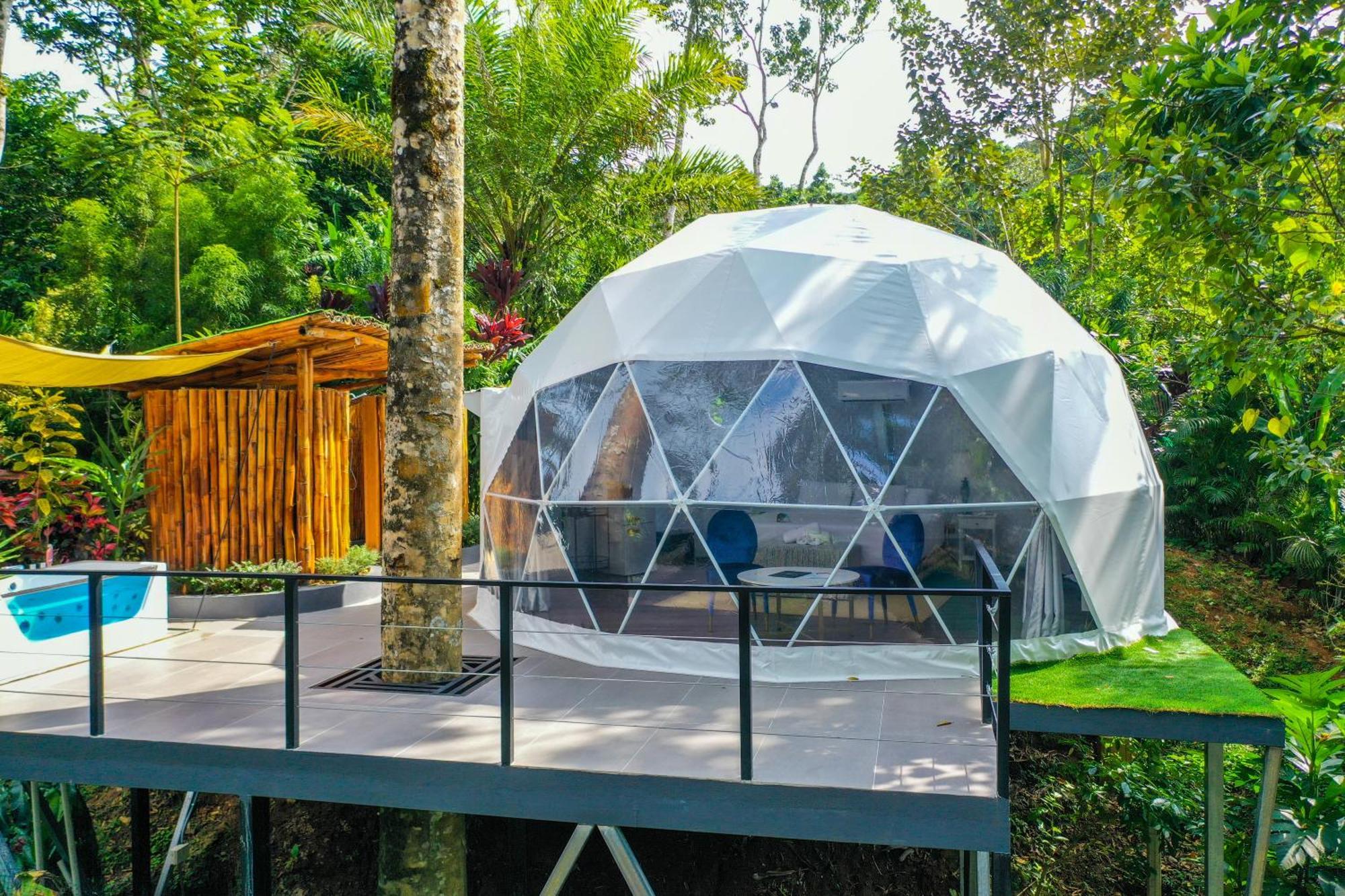 Palo Alto Glamping Hotel Quesada  Kültér fotó